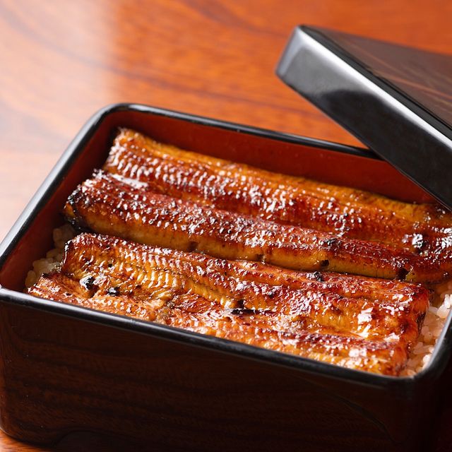 UNAGI HASHIMOTO
