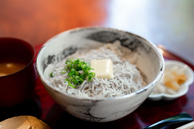 土佐しらす食堂二万匹